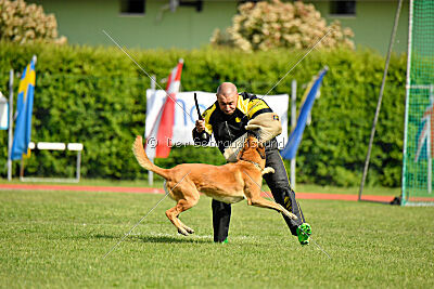 Appetitio Grande Occultatum Libera