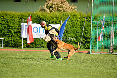 Appetitio Grande Occultatum Libera