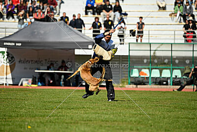 Aqua Bella Is Always Crazy