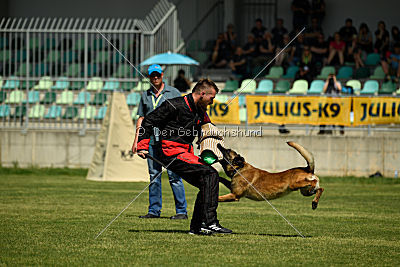 Aramis Red Devils Dog