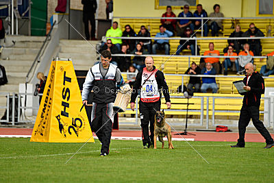 Aramis Red Devils Dog