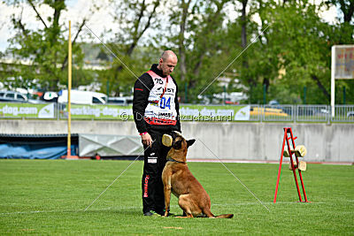 Aramis Red Devils Dog