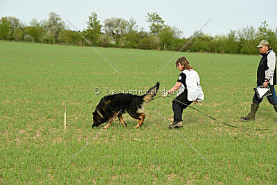 Aramis vom Hopfenbachtal