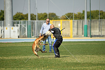 Arash Marenberska