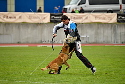Arash Marenberska
