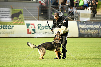 Arcela vom Wehrdener Schlosspark