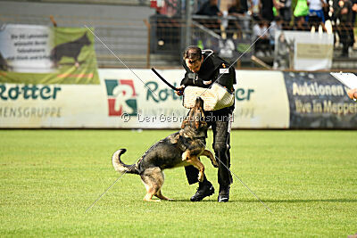 Arcela vom Wehrdener Schlosspark
