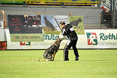 Arcela vom Wehrdener Schlosspark