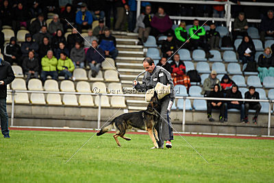Arek vom Agri-tschai