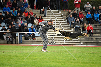 Arek vom Agri-tschai