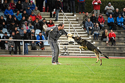 Arek vom Agri-tschai