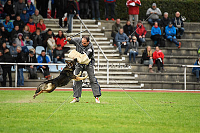 Arek vom Agri-tschai