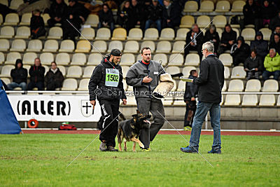 Arek vom Agri-tschai