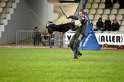 Arek vom Agri-tschai