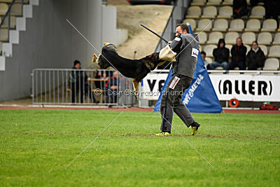 Arek vom Agri-tschai