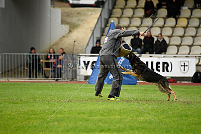 Arek vom Agri-tschai