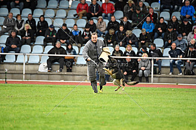 Arek vom Agri-tschai