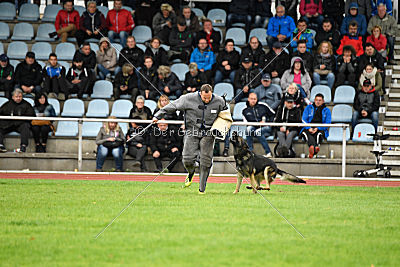 Arek vom Agri-tschai