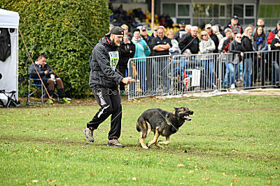 Arek vom Agri-tschai