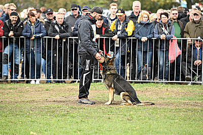 Arek vom Agri-tschai