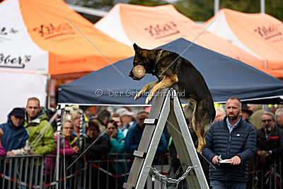 Arek vom Agri-tschai
