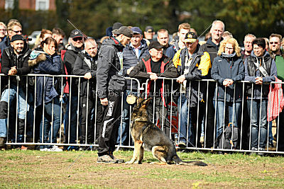 Arek vom Agri-tschai