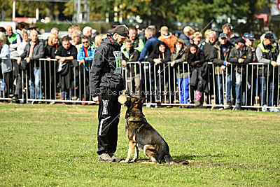 Arek vom Agri-tschai