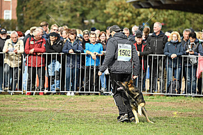 Arek vom Agri-tschai