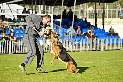 Arek vom dampfenden Kessel