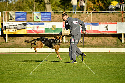 Arek vom dampfenden Kessel