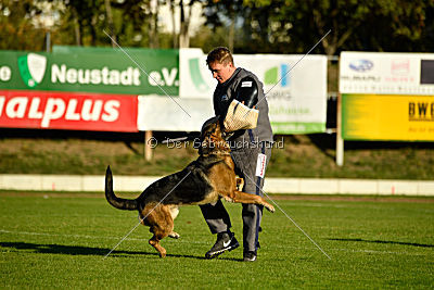 Arek vom dampfenden Kessel