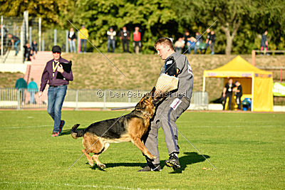 Arek vom dampfenden Kessel