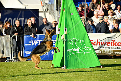 Arek vom dampfenden Kessel