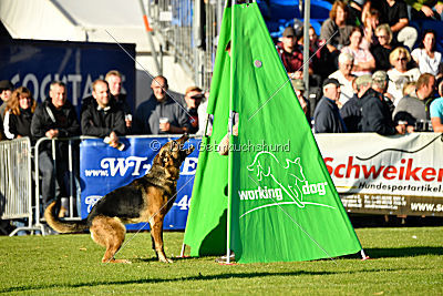 Arek vom dampfenden Kessel