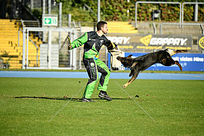 Arek von Königshand