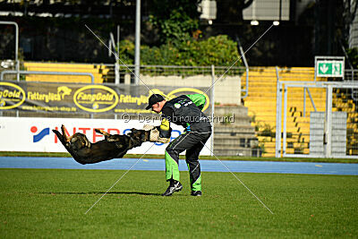 Arek von Königshand