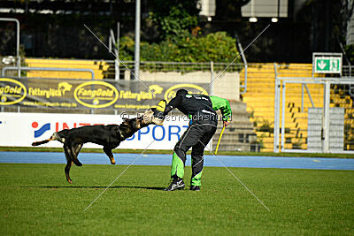 Arek von Königshand