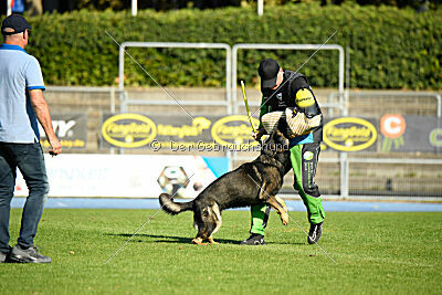 Arek von Königshand