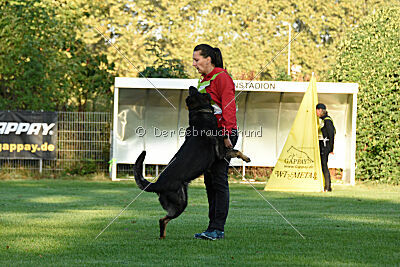 Arek von Königshand