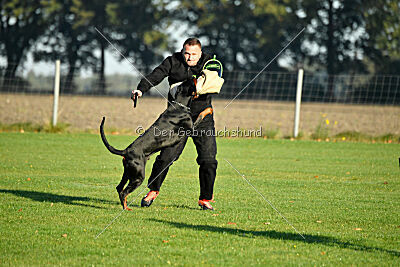 Ares von Misnia