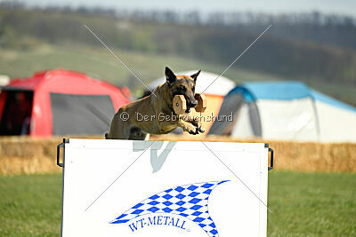 Ari von der Lilienwiese