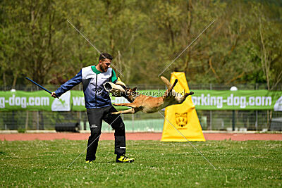 Aria Zeus Slovakia