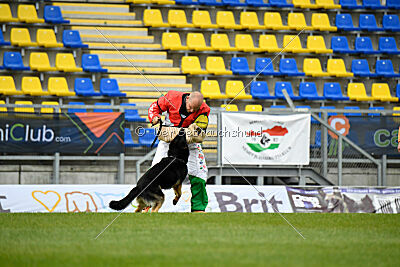 Arie van de Melia Hoeve