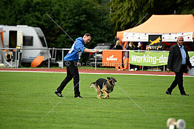 Arielle vom Alten Gleiss