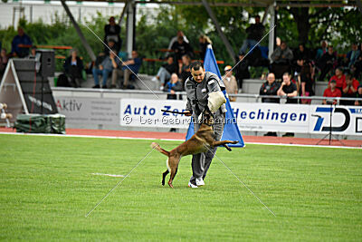 Arielle vom Alten Gleiss