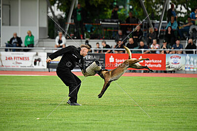 Arielle vom Alten Gleiss