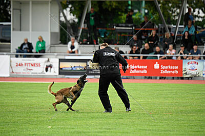 Arielle vom Alten Gleiss