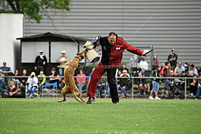 Arizona von den Heilstätten