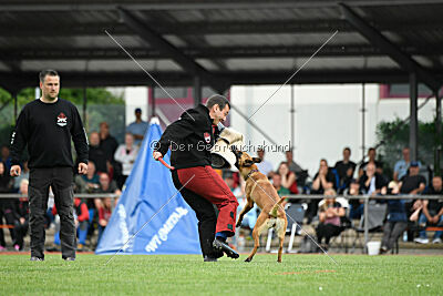 Arizona von den Heilstätten