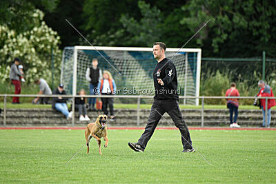 Arizona von den Heilstätten